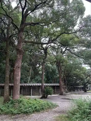 明治神宮(東京都)