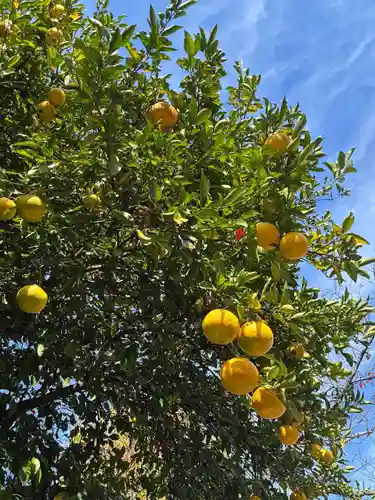 鷲神社(茨城県)