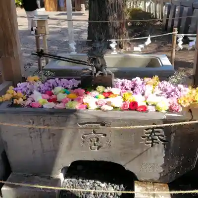 玉前神社の{uncategorized: "未分類", other: "その他", undefined: "問題あり", building: "その他建物", grave: "お墓", sacred_gate: "鳥居", guardian: "狛犬", statue: "像", buddha: "仏像", history: "歴史", nature: "自然", garden: "庭園", animal: "動物", pagoda: "塔", temizu: "手水舎", mountain_gate: "山門・神門", sanctuary: "本殿・本堂", subordinate: "末社・摂社", art: "芸術", scenery: "景色", jizo: "地蔵", ema: "絵馬", goshuin: "御朱印", omikuji: "おみくじ", items: "授与品その他", amulet: "お守り", goshuincho: "御朱印帳", eats: "食事", festival: "お祭り", votive_dance: "神楽", shichigosan: "七五三参", wedding: "結婚式", experience: "体験その他", initially: "初詣", around: "周辺", anti_infection: "感染症対策"}