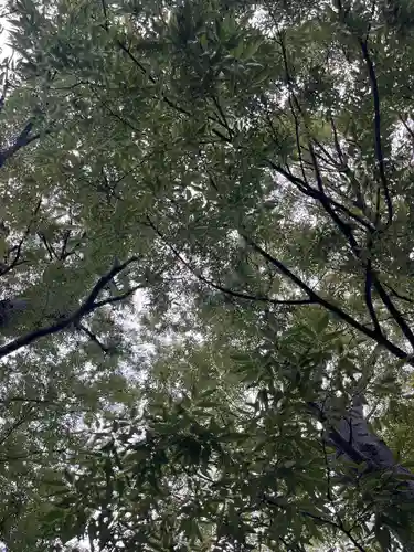 前川神社(埼玉県)