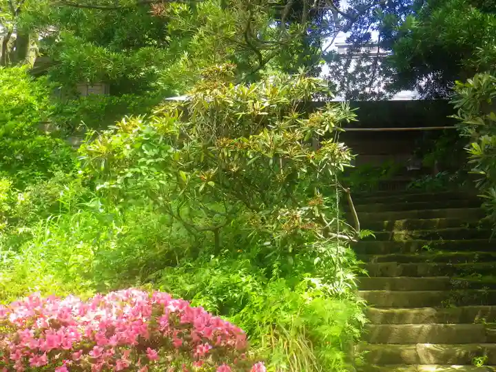 浄光明寺の自然