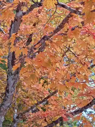 高野山金剛峯寺奥の院(和歌山県)