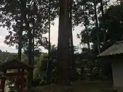 谷上神社の自然