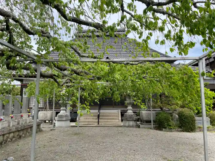 大福寺の{uncategorized: "未分類", other: "その他", undefined: "問題あり", building: "その他建物", grave: "お墓", sacred_gate: "鳥居", guardian: "狛犬", statue: "像", buddha: "仏像", history: "歴史", nature: "自然", garden: "庭園", animal: "動物", pagoda: "塔", temizu: "手水舎", mountain_gate: "山門・神門", sanctuary: "本殿・本堂", subordinate: "末社・摂社", art: "芸術", scenery: "景色", jizo: "地蔵", ema: "絵馬", goshuin: "御朱印", omikuji: "おみくじ", items: "授与品その他", amulet: "お守り", goshuincho: "御朱印帳", eats: "食事", festival: "お祭り", votive_dance: "神楽", shichigosan: "七五三参", wedding: "結婚式", experience: "体験その他", initially: "初詣", around: "周辺", anti_infection: "感染症対策"}