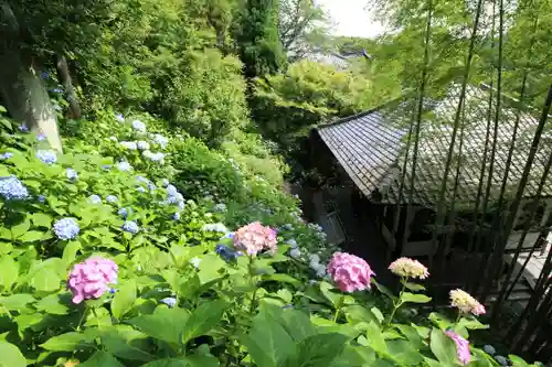 長谷寺の景色