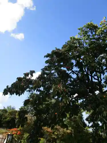 大安寺(奈良県)