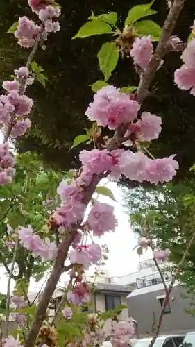 蛇窪神社(東京都)