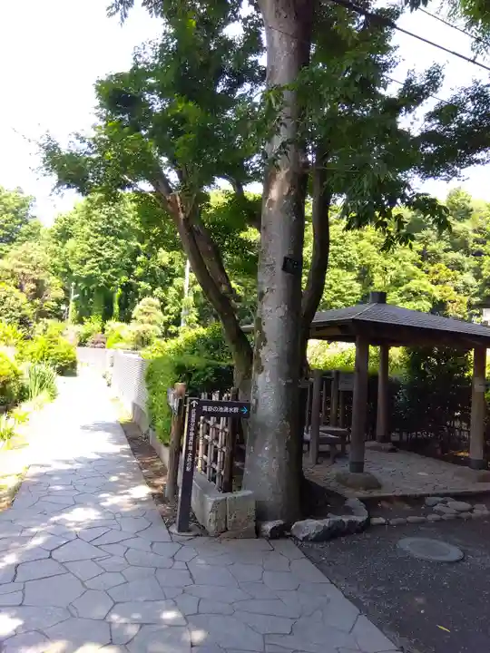 武蔵国分寺(東京都)