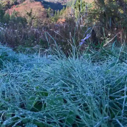 高司神社〜むすびの神の鎮まる社〜(福島県)