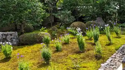 天得院(京都府)