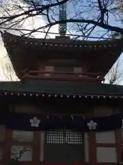 新井薬師（梅照院）の建物その他