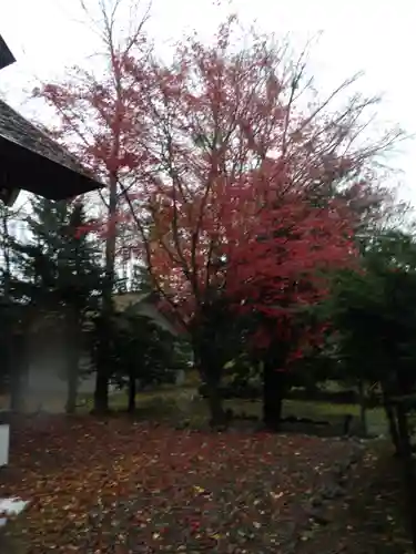 和寒神社の自然