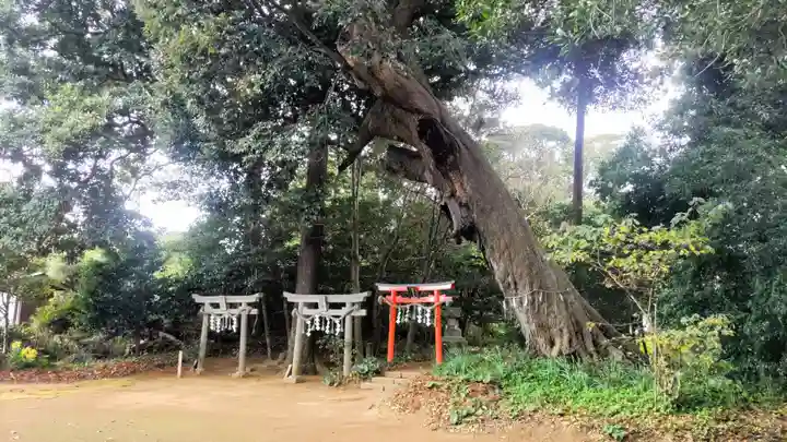 雷神社(千葉県)