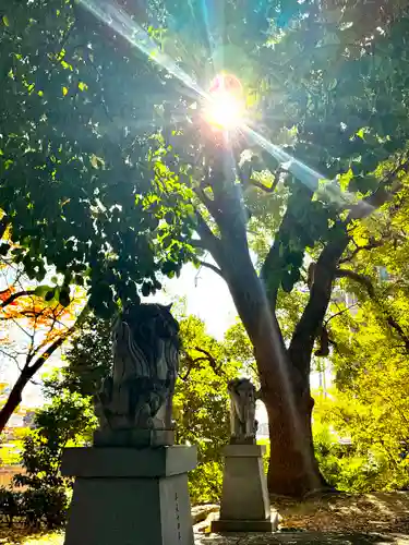 三栖神社(京都府)