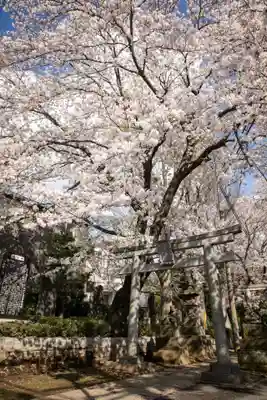 前原御嶽神社(千葉県)