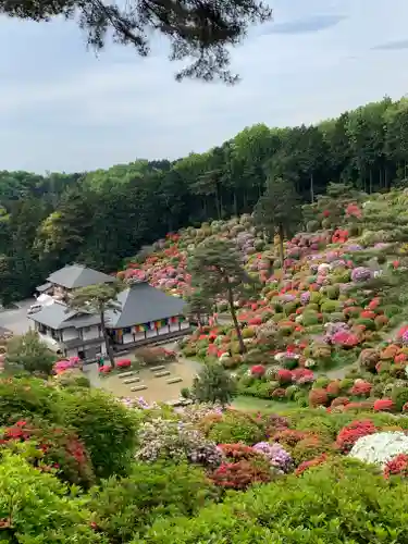 塩船観音寺の景色