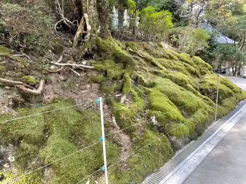 鶴林寺(徳島県)