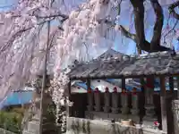 東昌寺の地蔵