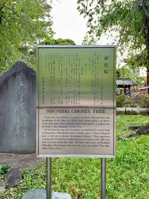 清水観音堂(東京都)