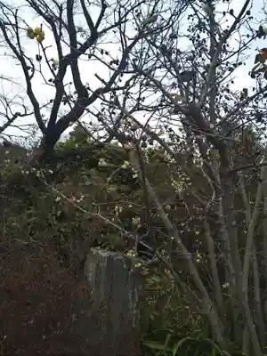 貫井神社(東京都)