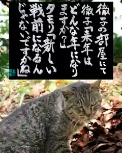 専念寺(大阪府)(2023年01月17日(火) 17時23分43秒投稿)