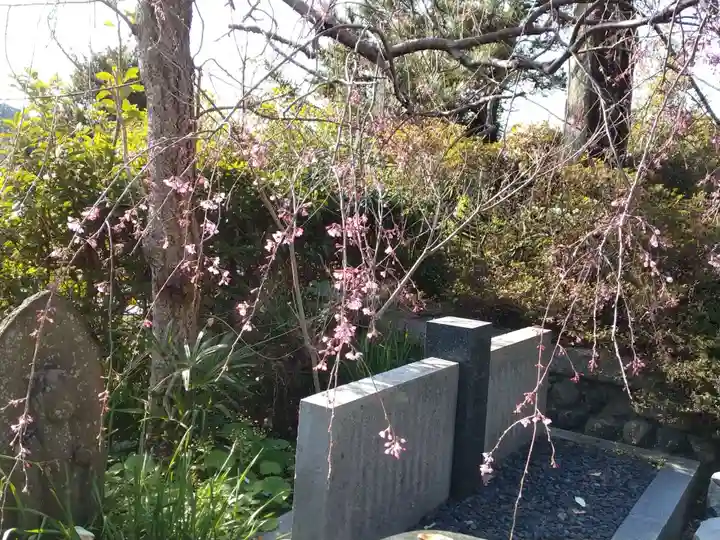 東林寺(神奈川県)