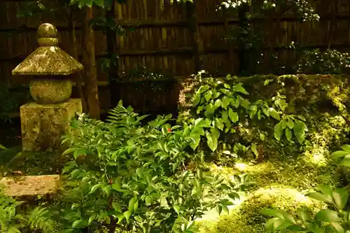 祇王寺(京都府)