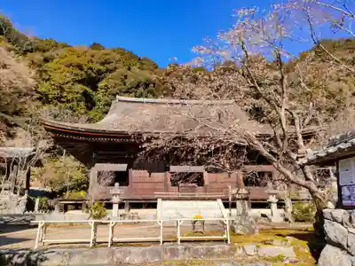 桑実寺の本殿・本堂