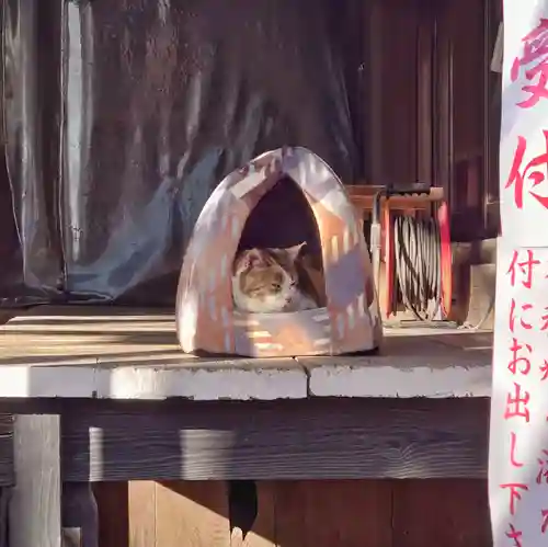 賀茂別雷神社(栃木県)