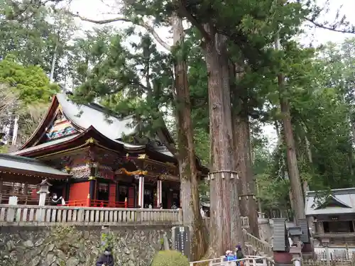 三峯神社(埼玉県)