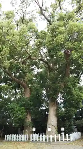 服織田神社の自然