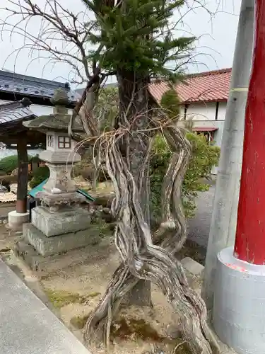 大鏑神社の庭園