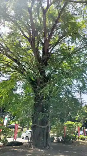 神野寺(千葉県)