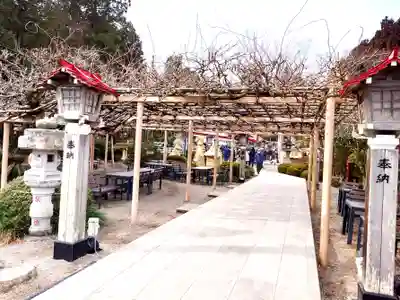 金蛇水神社(宮城県)