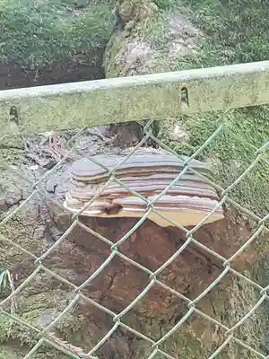 丸嶽山神社(栃木県)