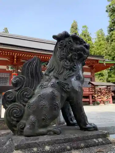 遠野郷八幡宮の狛犬