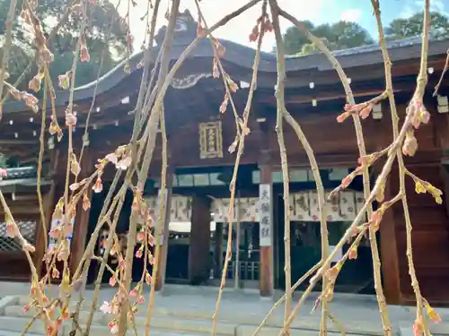 大石神社の本殿・本堂