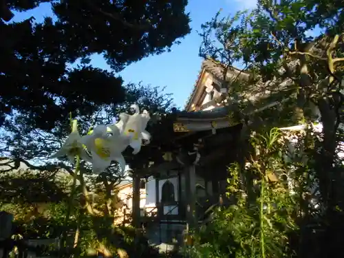 妙隆寺の本殿・本堂
