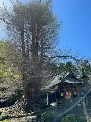 正法寺(埼玉県)