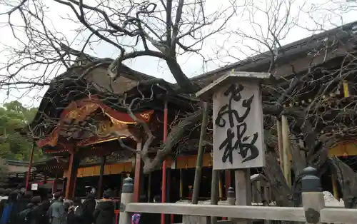 太宰府天満宮の自然