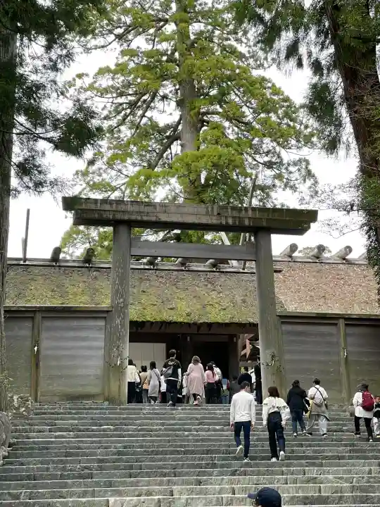伊勢神宮内宮(皇大神宮)の{uncategorized: "未分類", other: "その他", undefined: "問題あり", building: "その他建物", grave: "お墓", sacred_gate: "鳥居", guardian: "狛犬", statue: "像", buddha: "仏像", history: "歴史", nature: "自然", garden: "庭園", animal: "動物", pagoda: "塔", temizu: "手水舎", mountain_gate: "山門・神門", sanctuary: "本殿・本堂", subordinate: "末社・摂社", art: "芸術", scenery: "景色", jizo: "地蔵", ema: "絵馬", goshuin: "御朱印", omikuji: "おみくじ", items: "授与品その他", amulet: "お守り", goshuincho: "御朱印帳", eats: "食事", festival: "お祭り", votive_dance: "神楽", shichigosan: "七五三参", wedding: "結婚式", experience: "体験その他", initially: "初詣", around: "周辺", anti_infection: "感染症対策"}