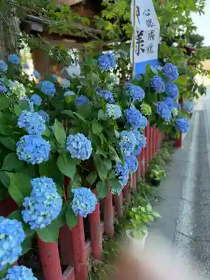 川越八幡宮(埼玉県)