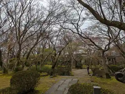 勝持寺（花の寺）(京都府)