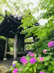 資福禅寺の自然