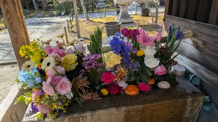 勝林寺(京都府)