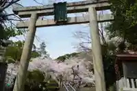 金崎宮の鳥居