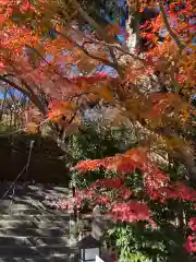 長谷寺(神奈川県)