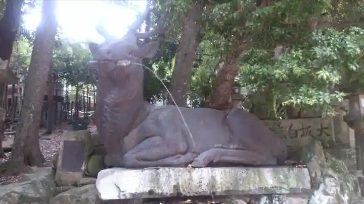 春日大社の狛犬