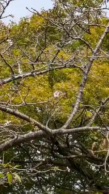 真正極楽寺(真如堂)(京都府)