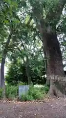 白髭神社(静岡県)